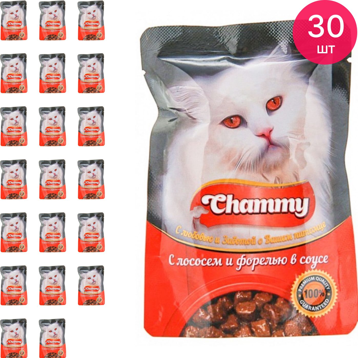 Корм для кошек chammy. Корм влажный Chammy. Chammy корм для кошек. Chammy Premium корм для кошек. Мокрый корм для кошек.