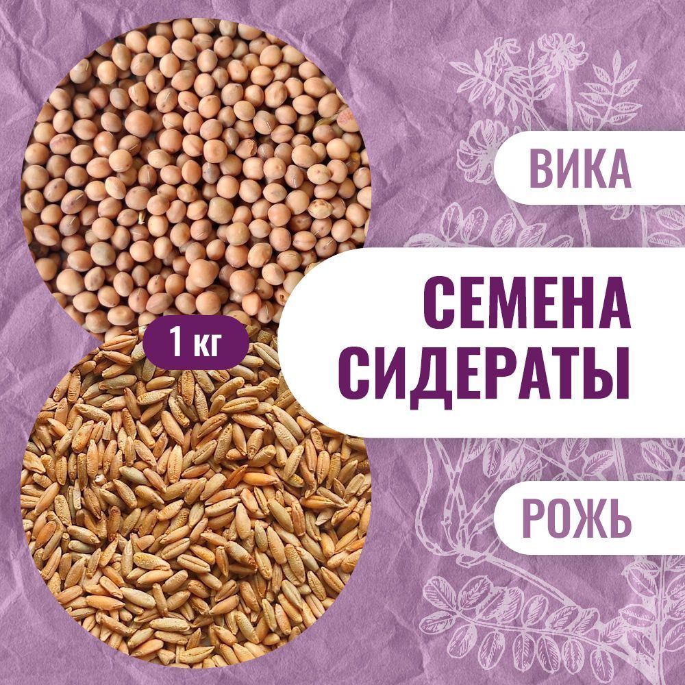 Купить Семена Вики Яровой В Алтайском Крае