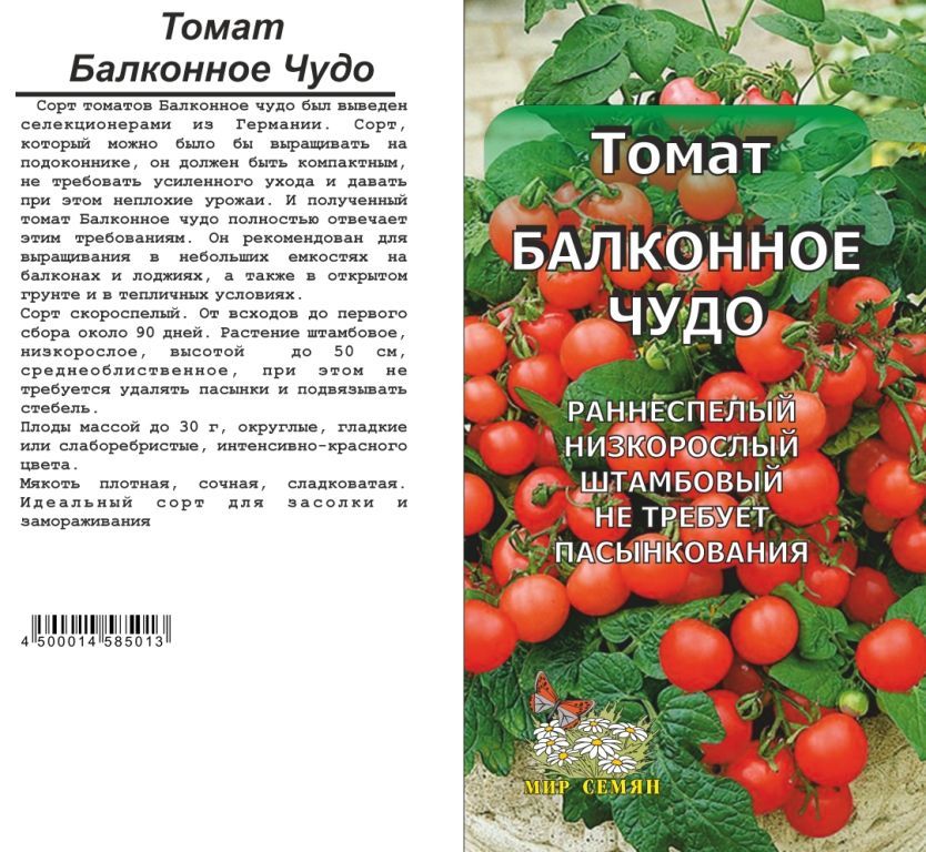 Когда сажать помидоры балконное чудо. Томат балконный f1. Балконное чудо помидоры описание. Томат балконное чудо в открытом грунте. Томат балконное чудо оранжевое.