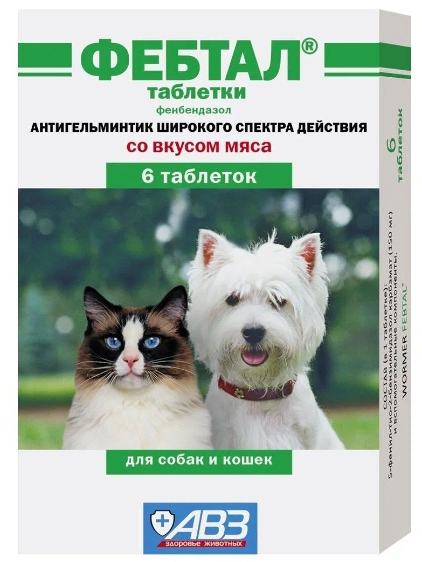 Антигельминтик Фебтал против круглых и ленточных гельминтов, таблетки для  собак и кошек 6 таб. - купить с доставкой по выгодным ценам в  интернет-магазине OZON (1044886754)