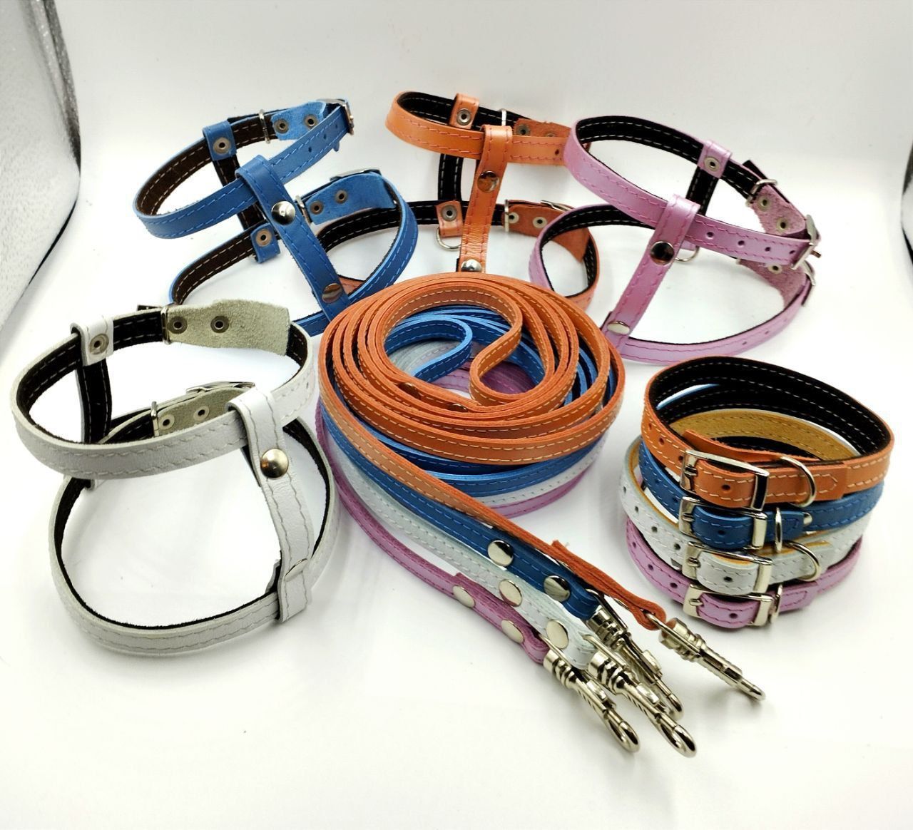 Хелдайверс 2 амуниция. Шлейка триол для собак. Комплекты амуниции для собак. Комплект амуниции для собак. Шлейка триол.