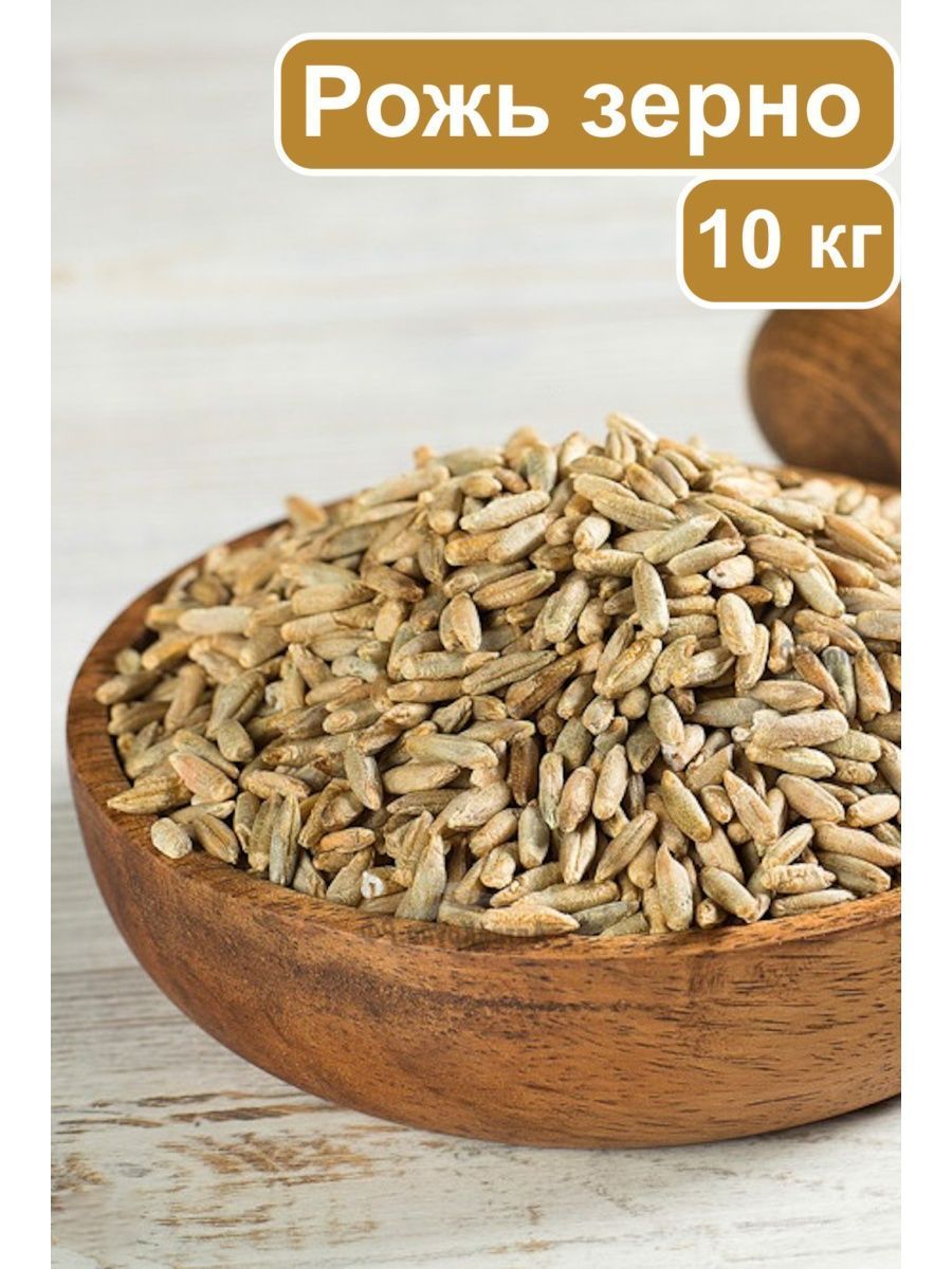 Рожь цельное зерно - купить с доставкой по выгодным ценам в  интернет-магазине OZON (1069667290)