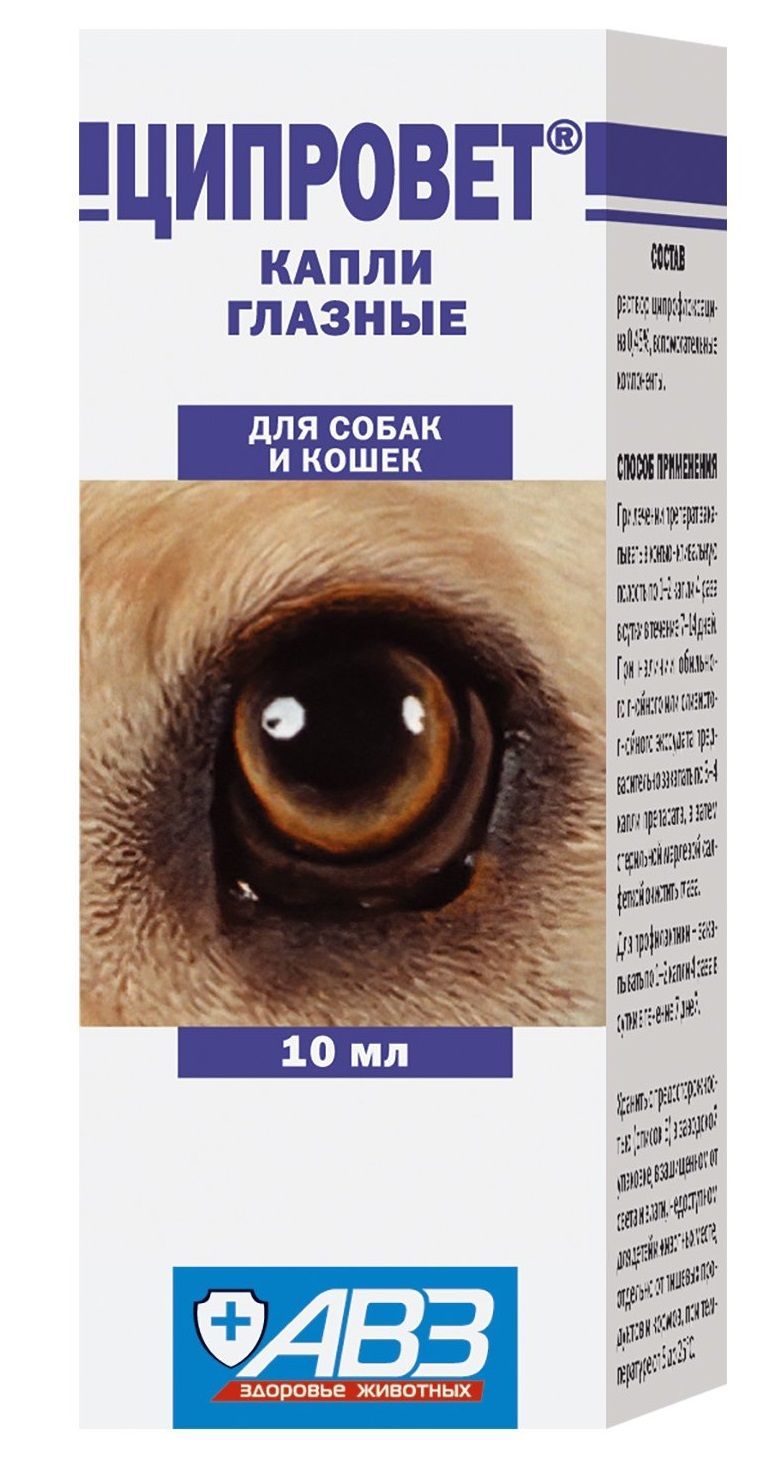 Глазные капли для собак цена. Ципровет капли для глаз 10мл. Ципровет капли 10 мл. Капли для глаз для кошек ципровет. Ципровет для собак капли глазные.