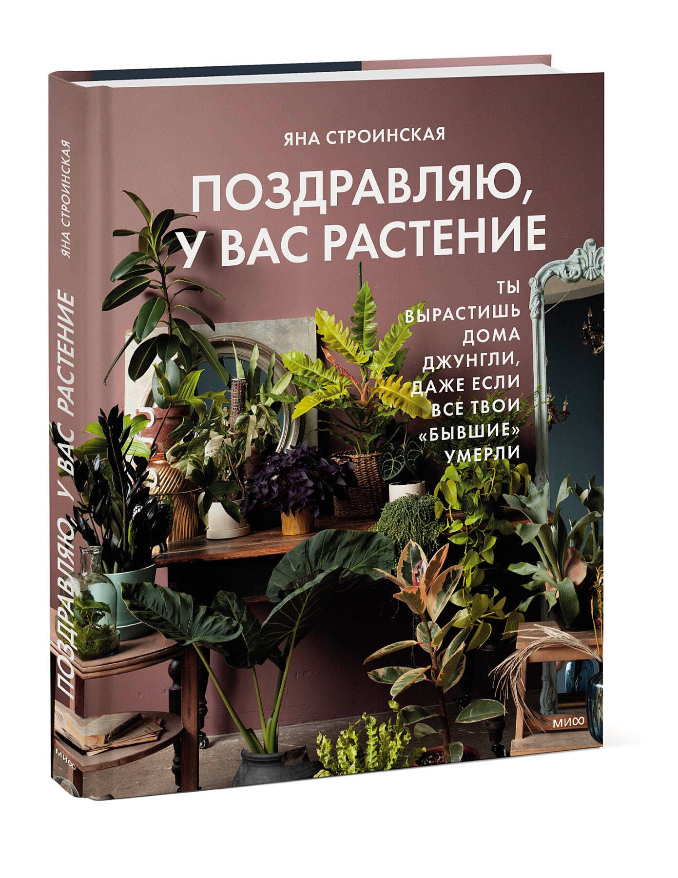 джунгли дома книга (100) фото