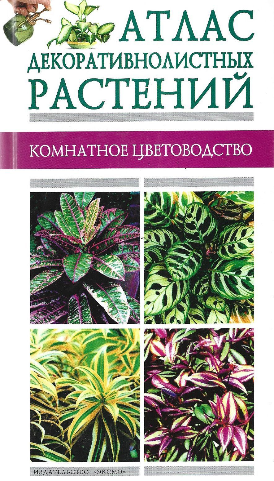 Атлас комнатных растений. Лимаренко атлас комнатных растений. Декоративнолистные комнатные растения книга. Компактный атлас растений. Атласы по цветоводству.