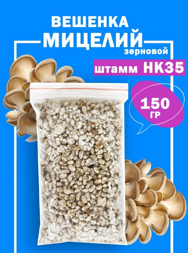 333.35 нк. K-17 штамм грибов