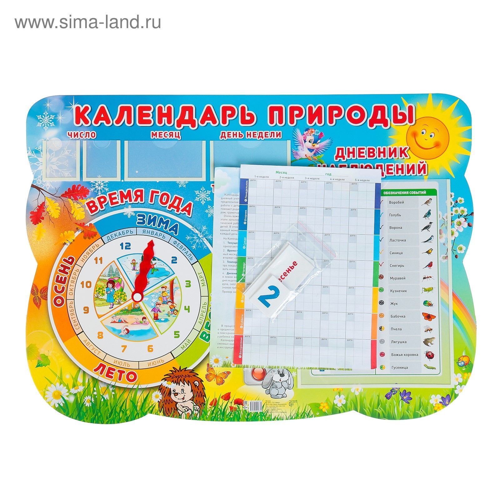 какое сегодня число и день недели. карточки в уголок природы. какой сегодня день число. стенд календарь природы с карточками. календарь погоды для детского сада.