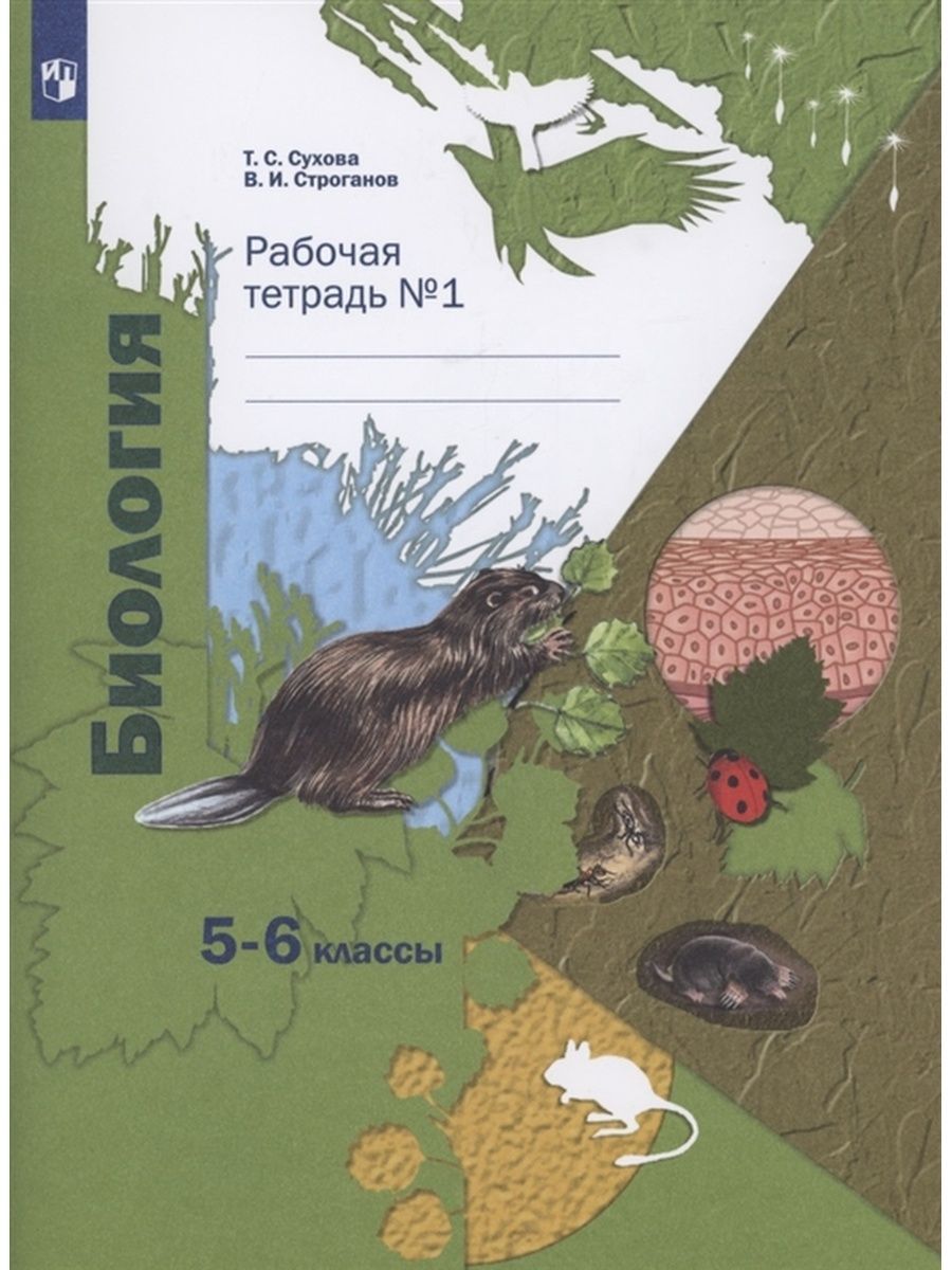 Биология. 5-6 классы. Рабочая тетрадь №1 | Сухова Тамара Сергеевна,  Строганов Владимир Иванович - купить с доставкой по выгодным ценам в  интернет-магазине OZON (1126591215)