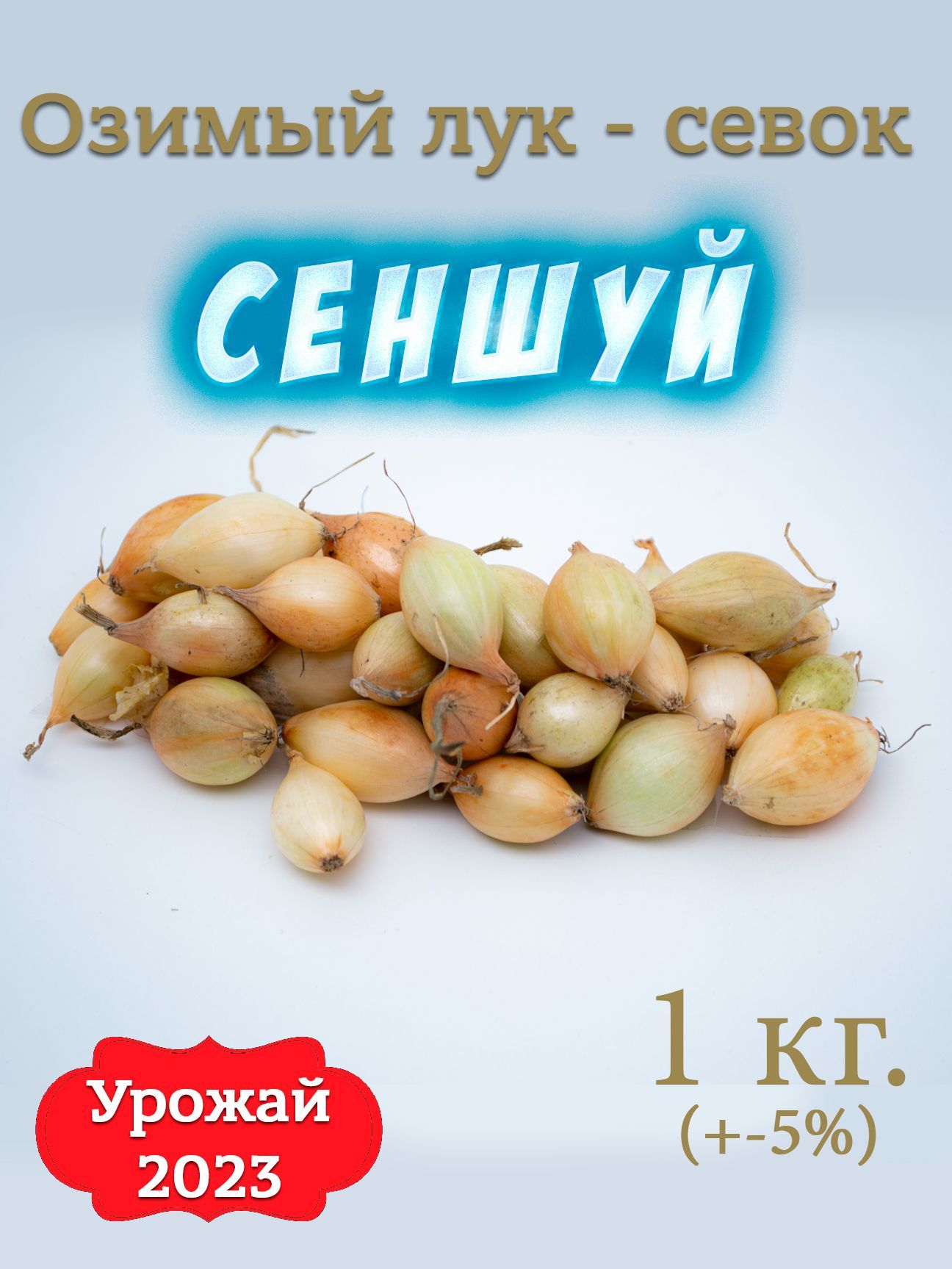 НАСІННЯ Лука Сеншуй Купити (8 Грн)