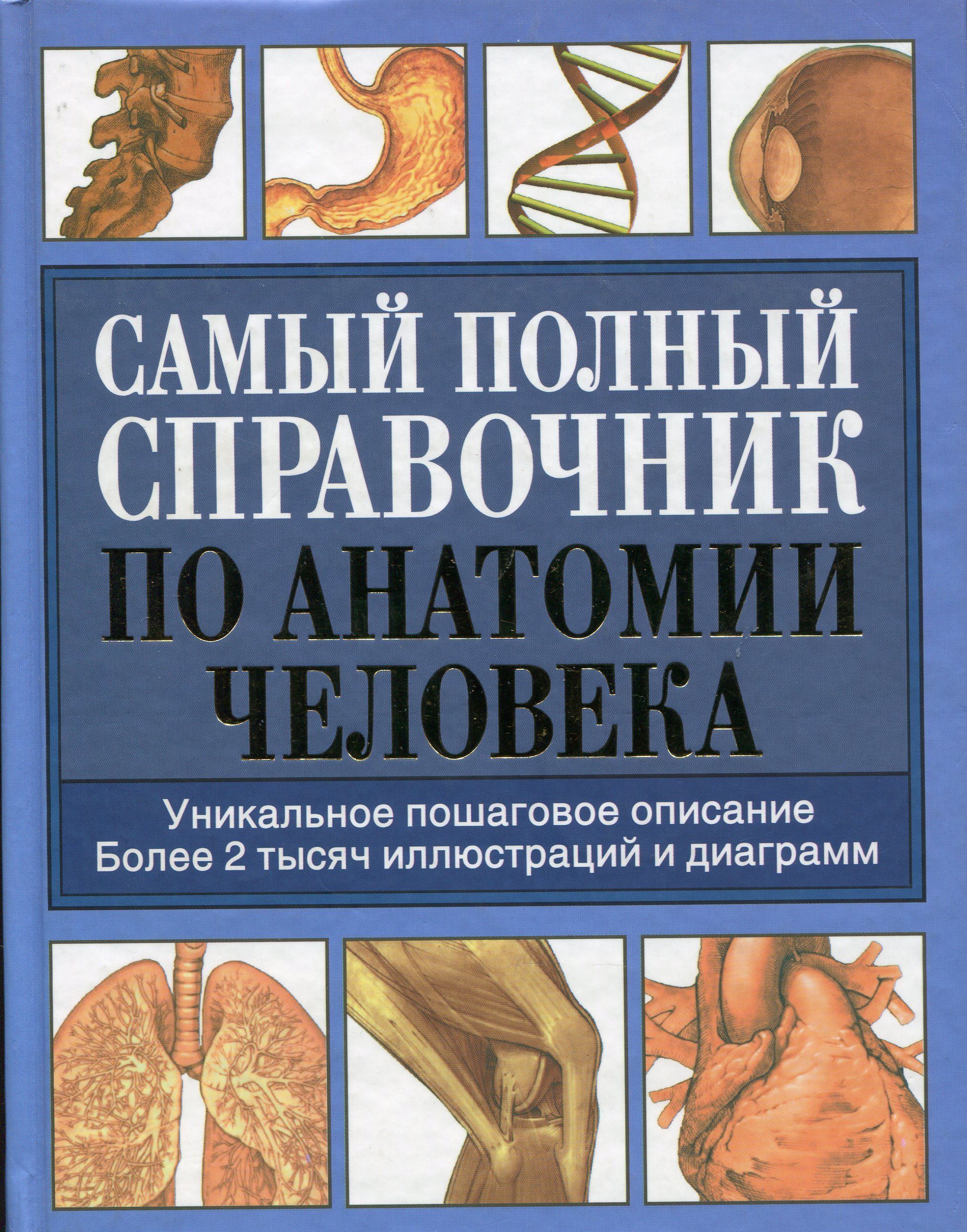 Какие книги по анатомии. Справочник по анатомии. Справочник анатомии человека. Самый полный справочник по анатомии человека. Анатомия человека книга.