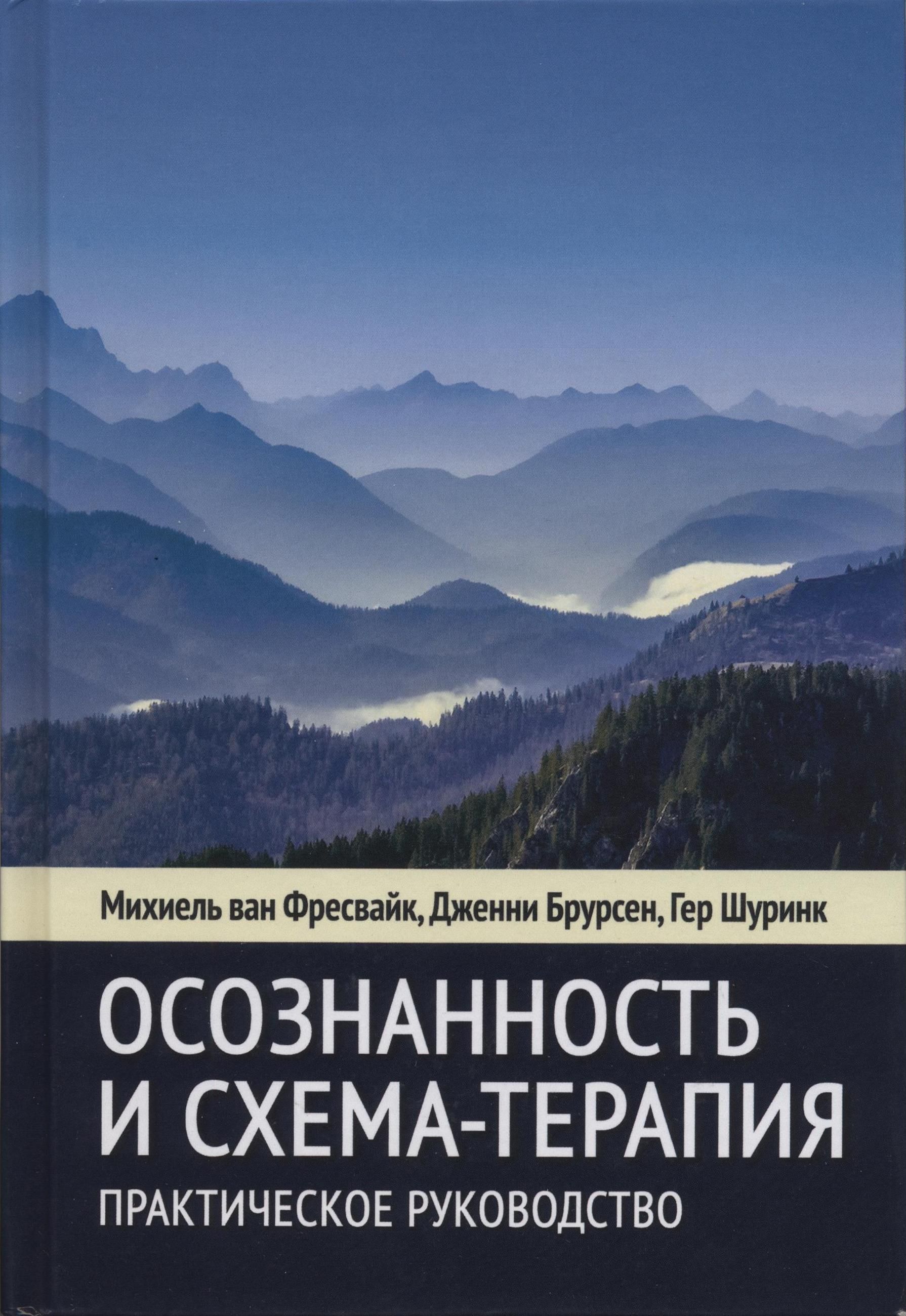 Схема терапия практическое руководство