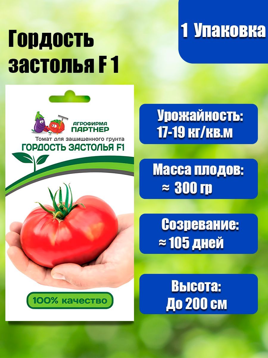 Помидор гордость застолья. Помидор застольный описание. Помидоры гордость застолья. Гордость застолья томат рассада. Томат гордость побережья.