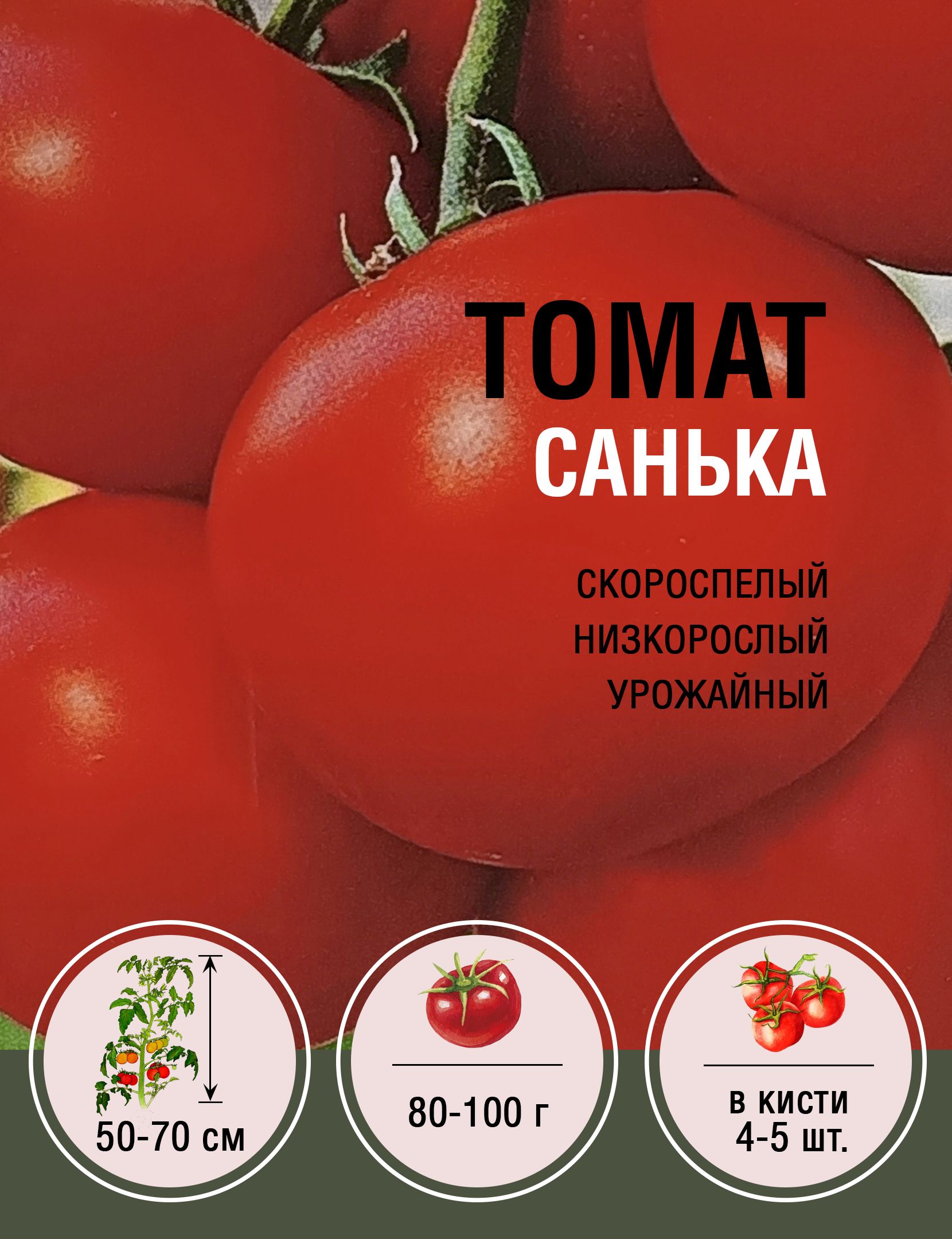 Томат Санька Купить Семена