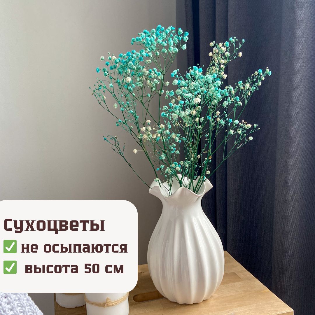 Стабилизированные цветы Гипсофила, 50 см, 20 гр, 1 шт