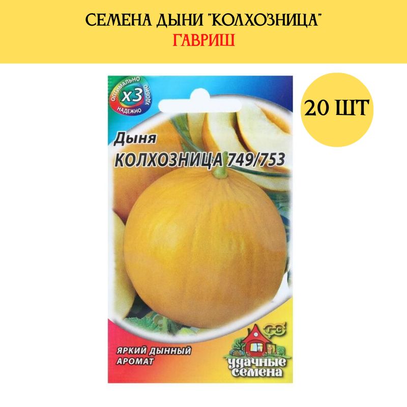 Дыни гавриш. Гавриш дыня казачка.