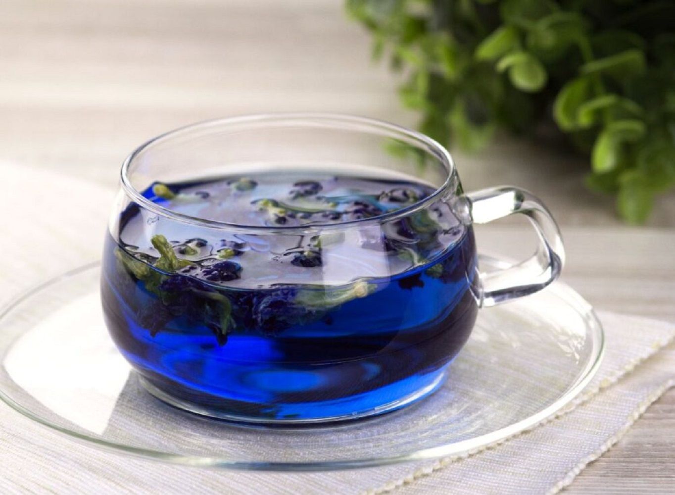 Тайский синий чай купить