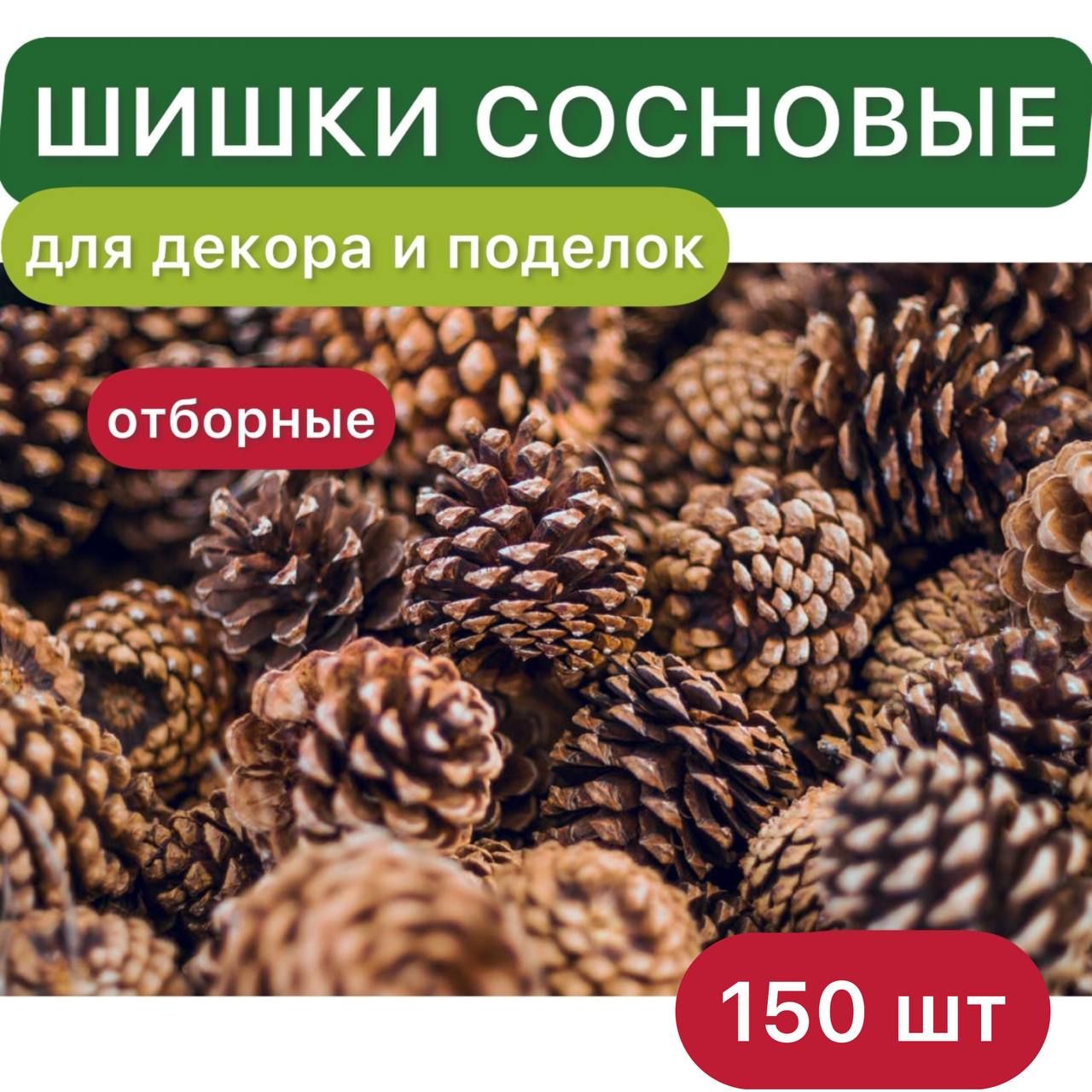 Шишки сосновые для декора и поделок, 150 шт, Россия, Эко. - купить с  доставкой по выгодным ценам в интернет-магазине OZON (1339649938)