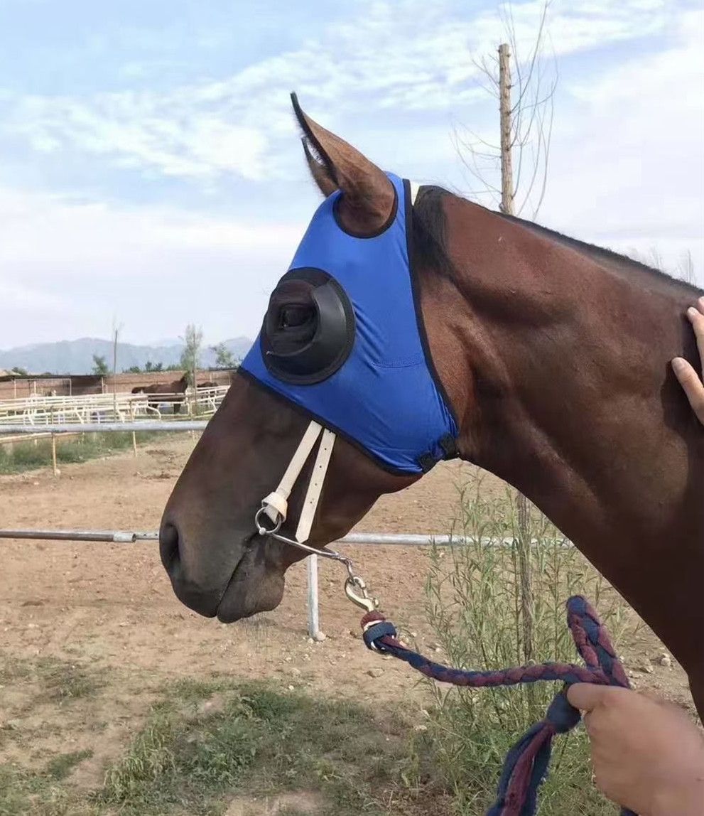 Horse Blinkers