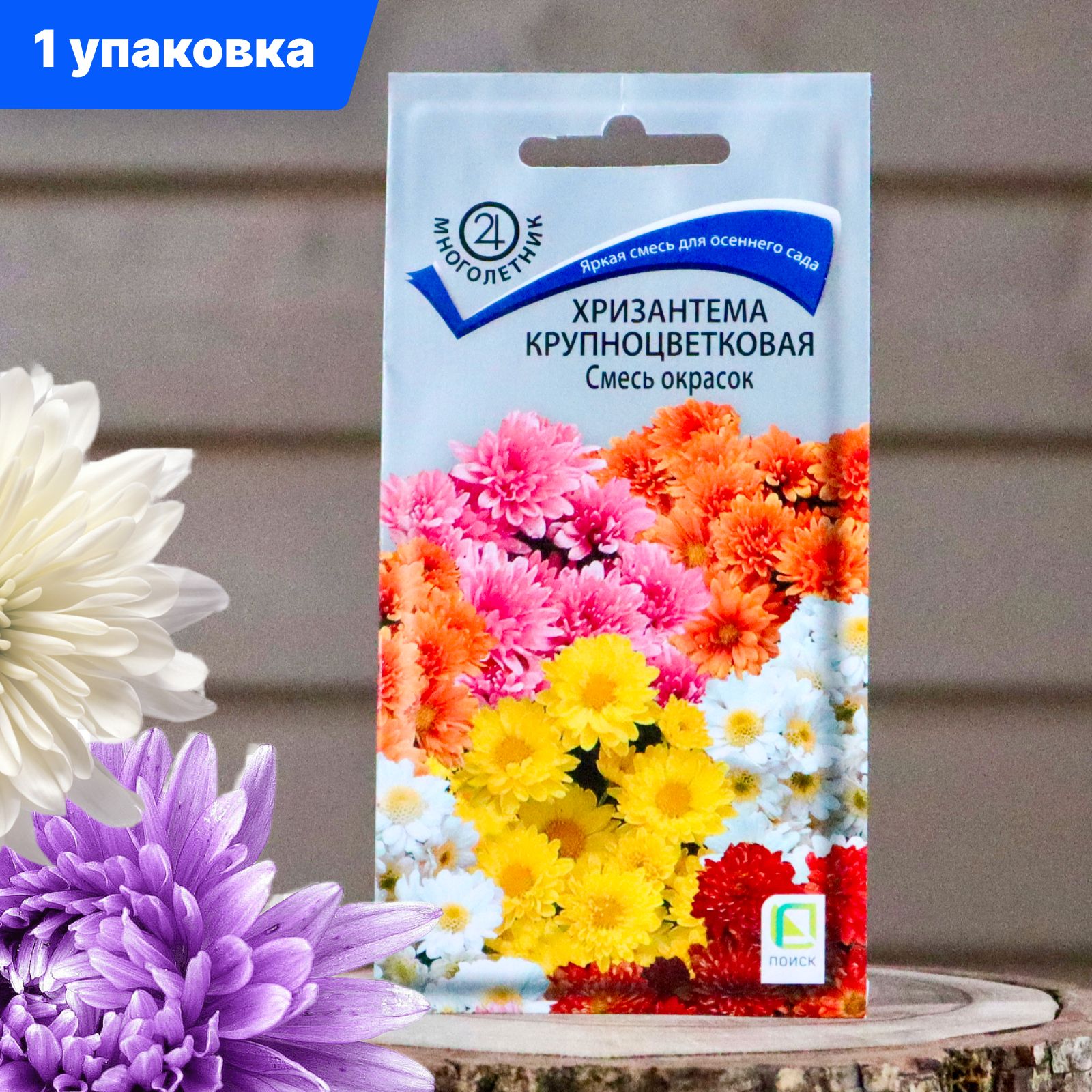 Хризантемы Мультифлора – купить в интернет-магазине OZON по низкой цене