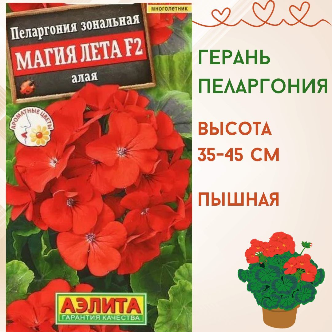 Семена цветов Пеларгония 