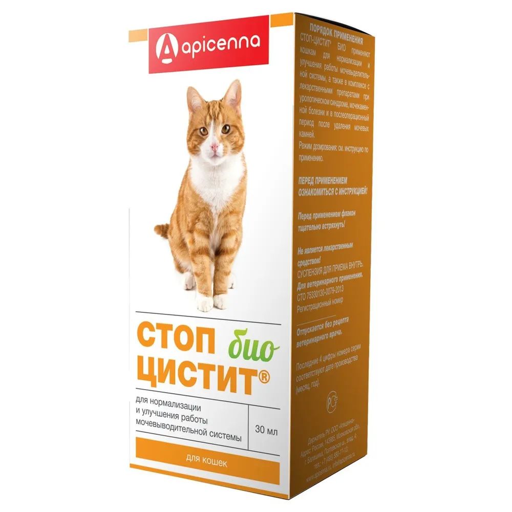Стопцистит для котов