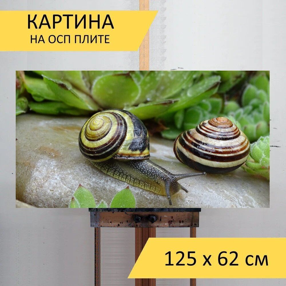 Картина рыб 