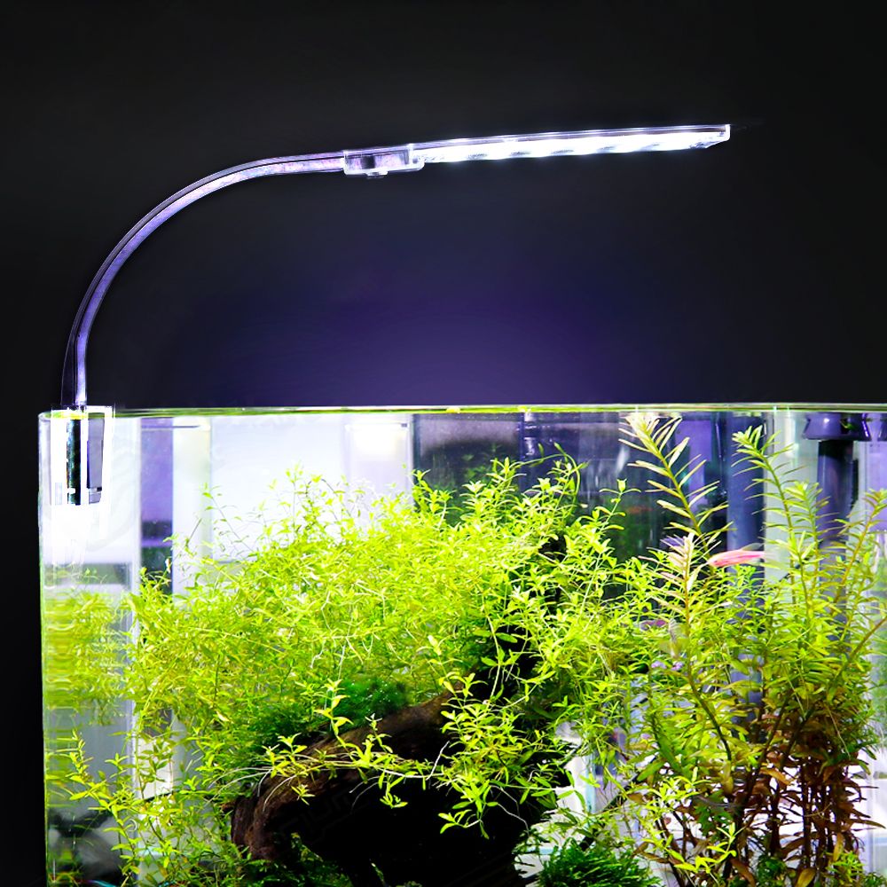 Светодиодная лампа для аквариума купить. Led лампа для аквариума 24 Вт. Aqua led светодиодный светильник для аквариума. Аквариум Prime, 13 л. Фито лампа для аквариумных растений Мерга 90 см.