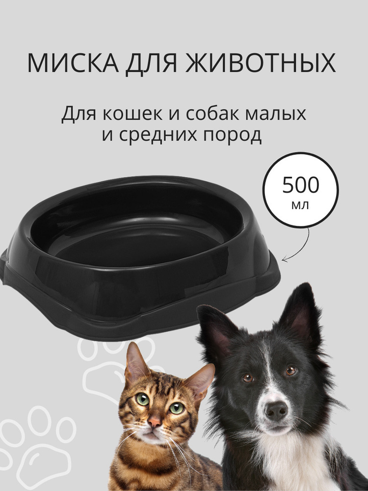 Миска для кошек, для собак DD Style / Пластиковая миска для воды и корма, черный, 500 мл  #1