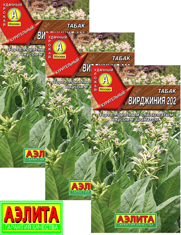 Табак вирджиния 202 описание сорта фото