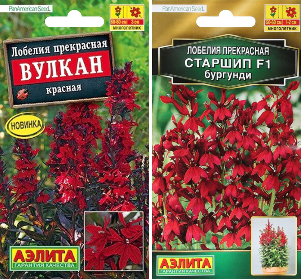 Лобелии Агрофирма Аэлита лобелия2_1 - купить по выгодным ценам в ...