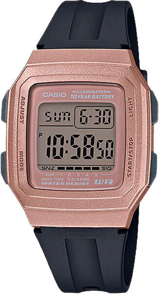 zona casio