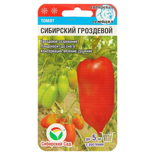 Томаты гроздевой описание сорта фото отзывы