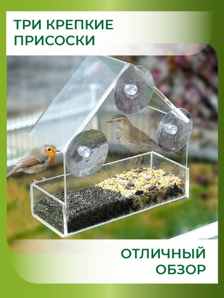 Кормушка для птиц на окно - купить с доставкой по выгодным ценам в ...