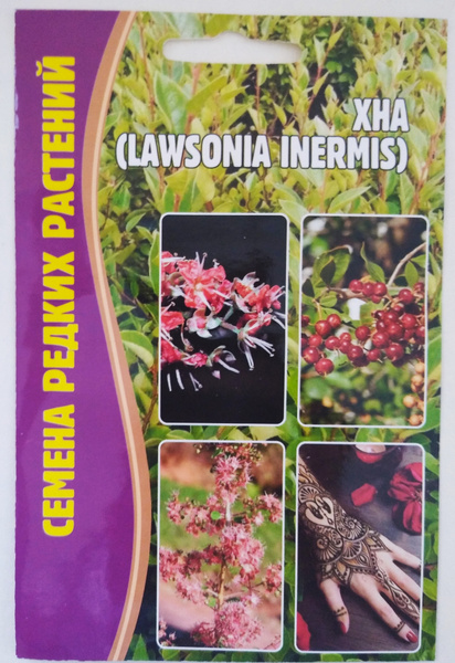 Дельфиниум Гигантская смесь + Летний танец - купить по выгодным ценам в ...