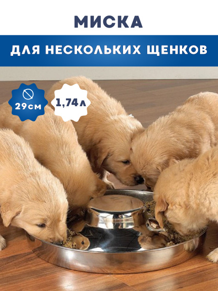 Миска для нескольких щенков, из нержавеющей стали, 1.74 л (d 29 см ...