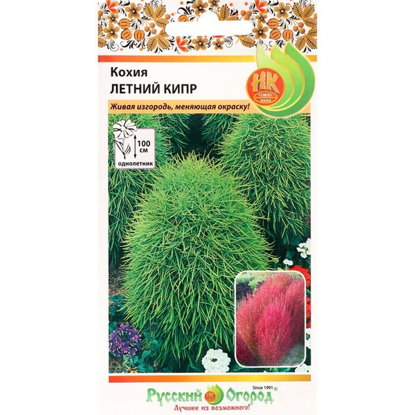Кохия Русский огород 729826 - купить по выгодным ценам в интернет ...