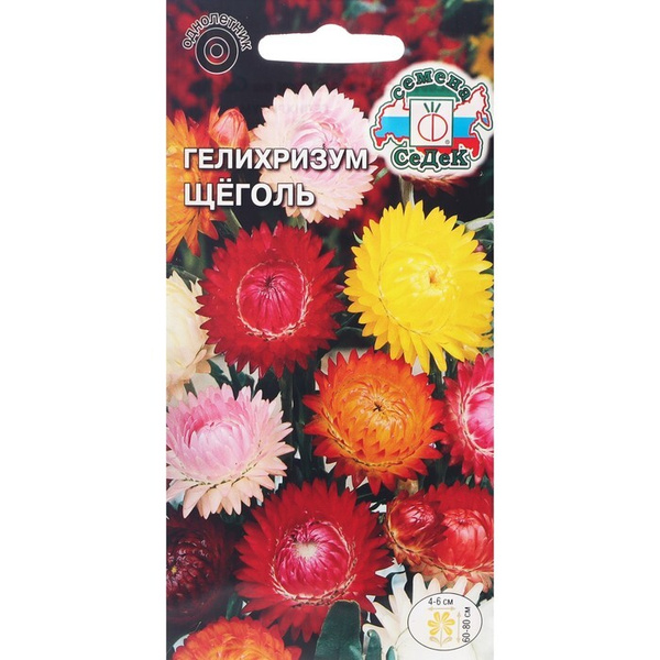 Гелихризум Седек 863080 - купить по выгодным ценам в интернет-магазине ...