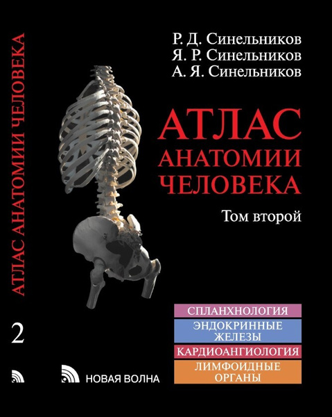 Атлас анатомии человека. Синельников . Том 2. Спланхнология ...