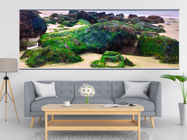 Картина на холсте "Алгея, горные породы, морской мох" 240x90 см. с ...