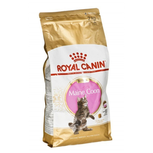 Royal Canin (Роял Канин) kitten мaine coon для котят мейн-кун: 4-12мес ...