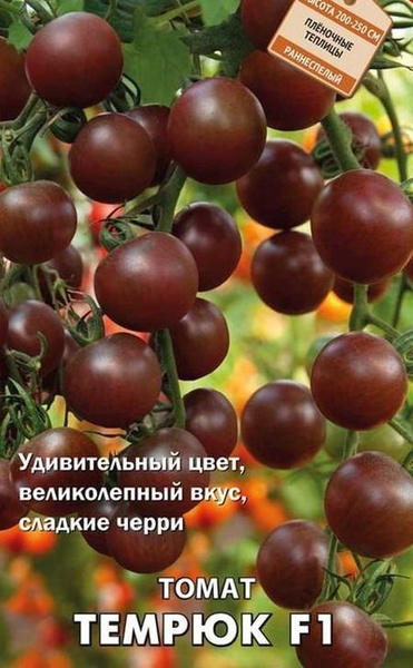 Томат Сеньор Помидор Отзывы Фото Урожайность