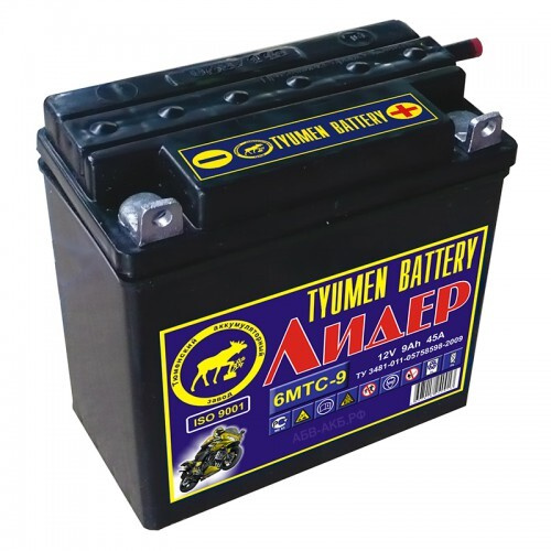 Аккумулятор для мототехники Tyumen Battery 6 МТС-9 купить по выгодной ...