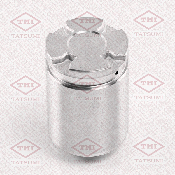 Поршень суппорта - TMI TATSUMI арт. TCG1030 - купить по выгодной цене в ...