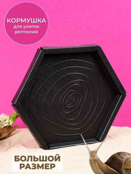 Кормушка поилка для рептилий, черепах и улиток для аквариума и ...