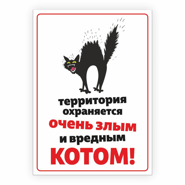 Табличка, осторожно злой кот, прикол, на дверь, на забор, 25 см, 18 см ...