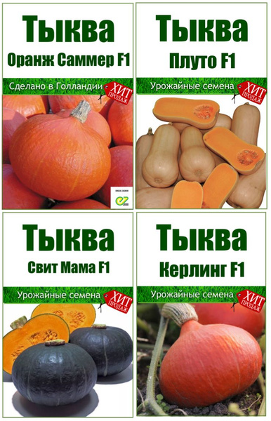 SAKATA Набор тыквы - купить по выгодным ценам в интернет-магазине OZON ...