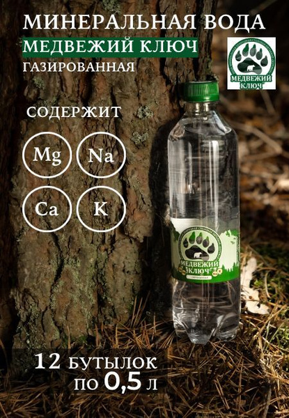 Минеральная вода с магнием и калием газированная МЕДВЕЖИЙ КЛЮЧ (12 ...