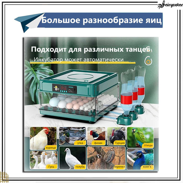 Инкубатор для яиц - купить с доставкой по выгодным ценам в интернет ...