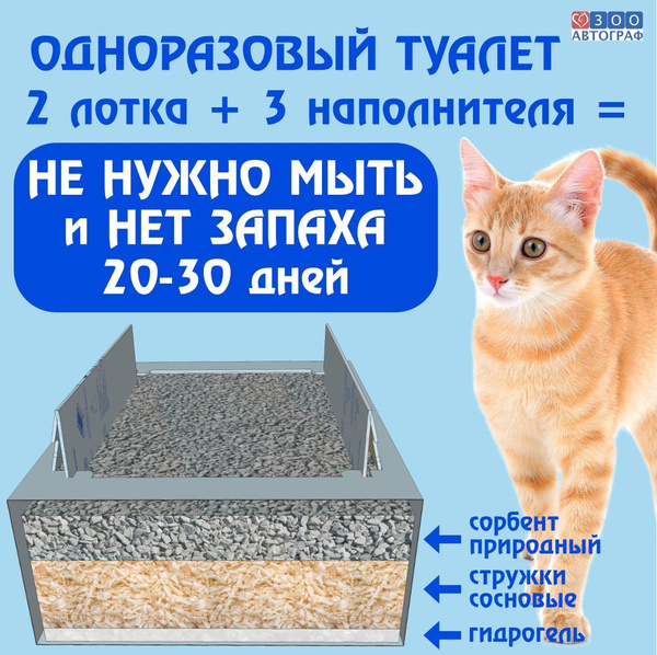 Котёнок ест наполнитель - опасно ли это? | Pets in the City | Дзен