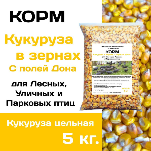 Семена Кормовой Кукурузы Купить
